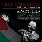 Mandela Palestine poster
